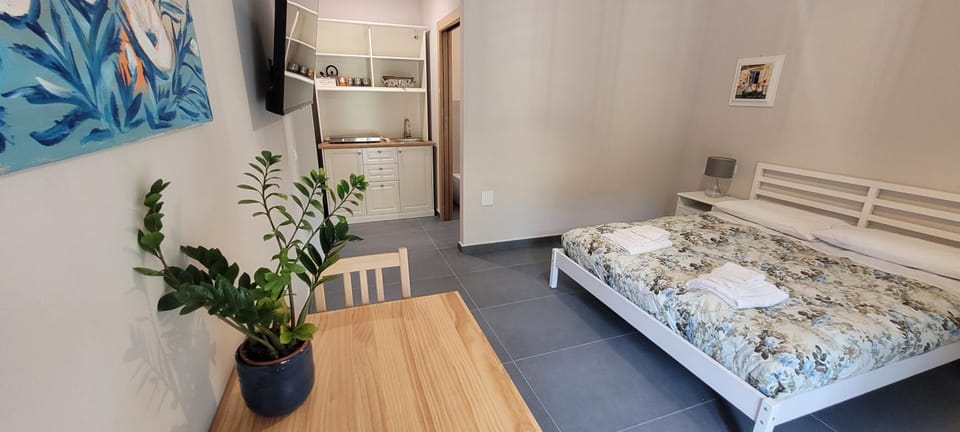 Bed, TV and multimedia, Kitchen or kitchenette, Photo of the whole room, Bedroom