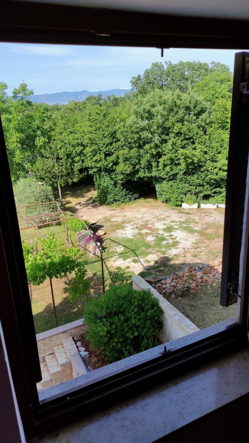 Garden view