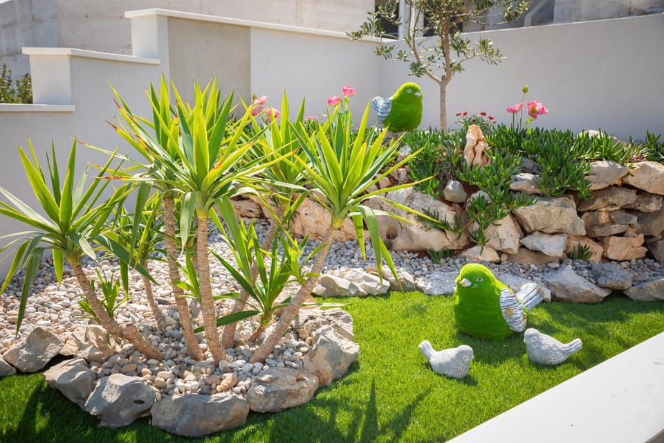 Spring, Garden, Garden view