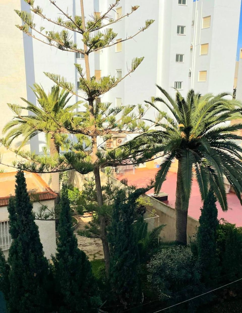 Pritty Apartement Gracia Torrevieja Apartment in Torrevieja