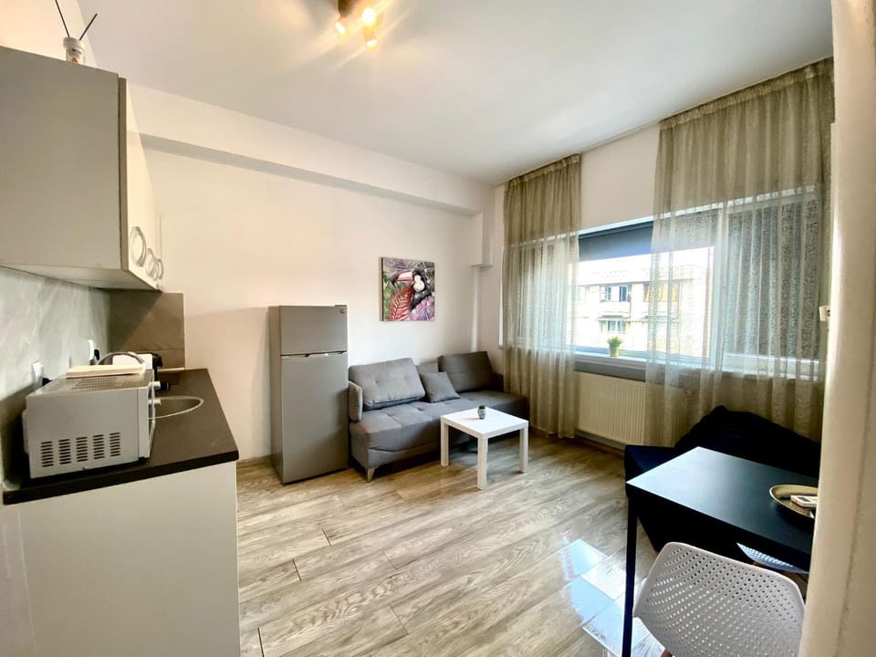 Kitchen or kitchenette, Living room, Seating area, Dining area