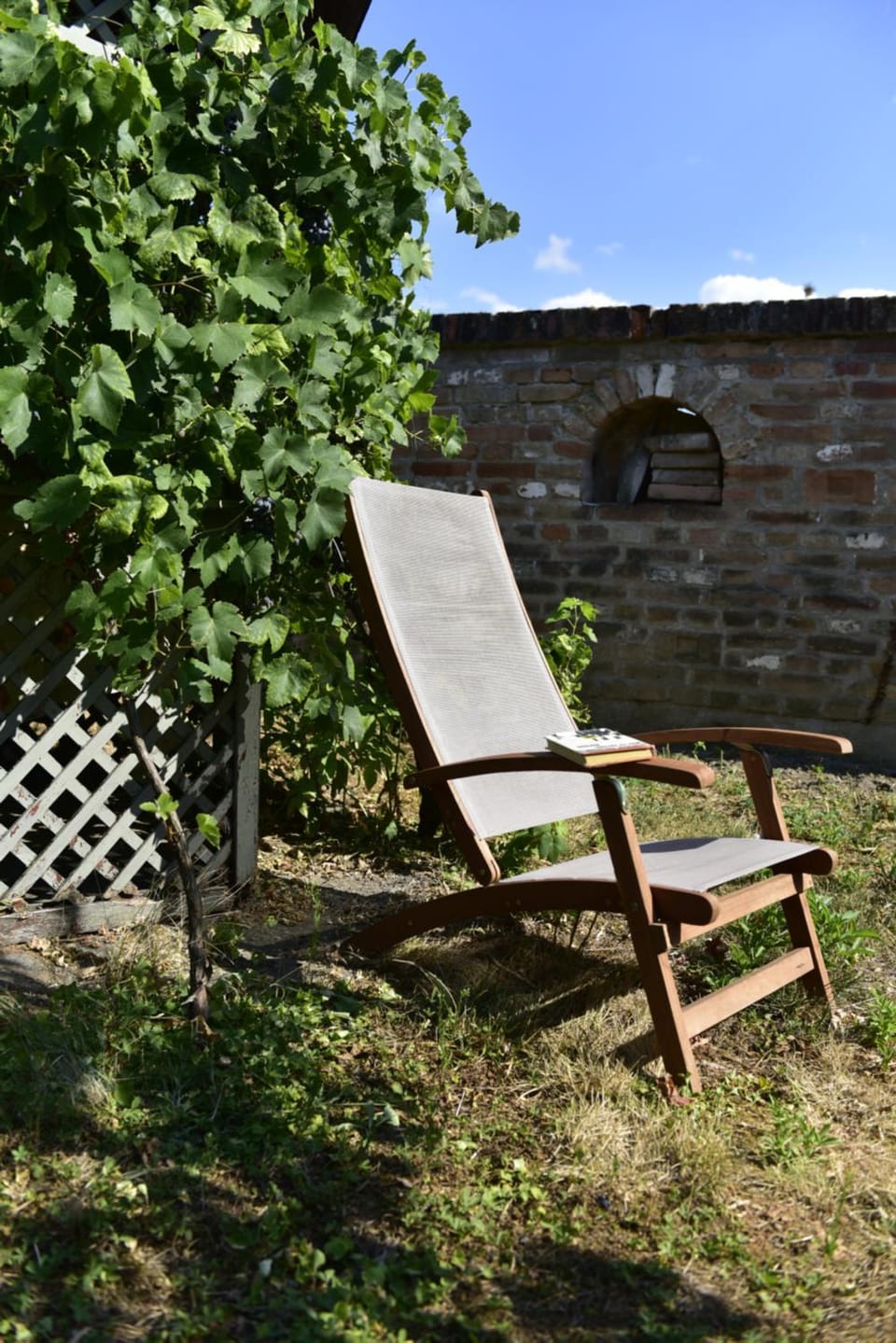 Day, Garden, sunbed