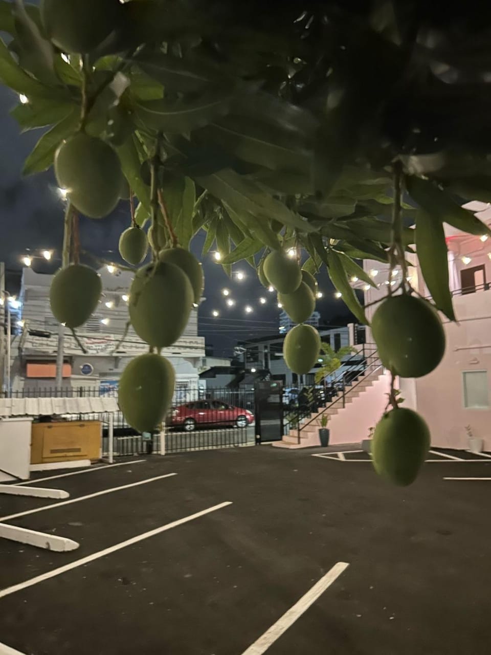 Night, Parking