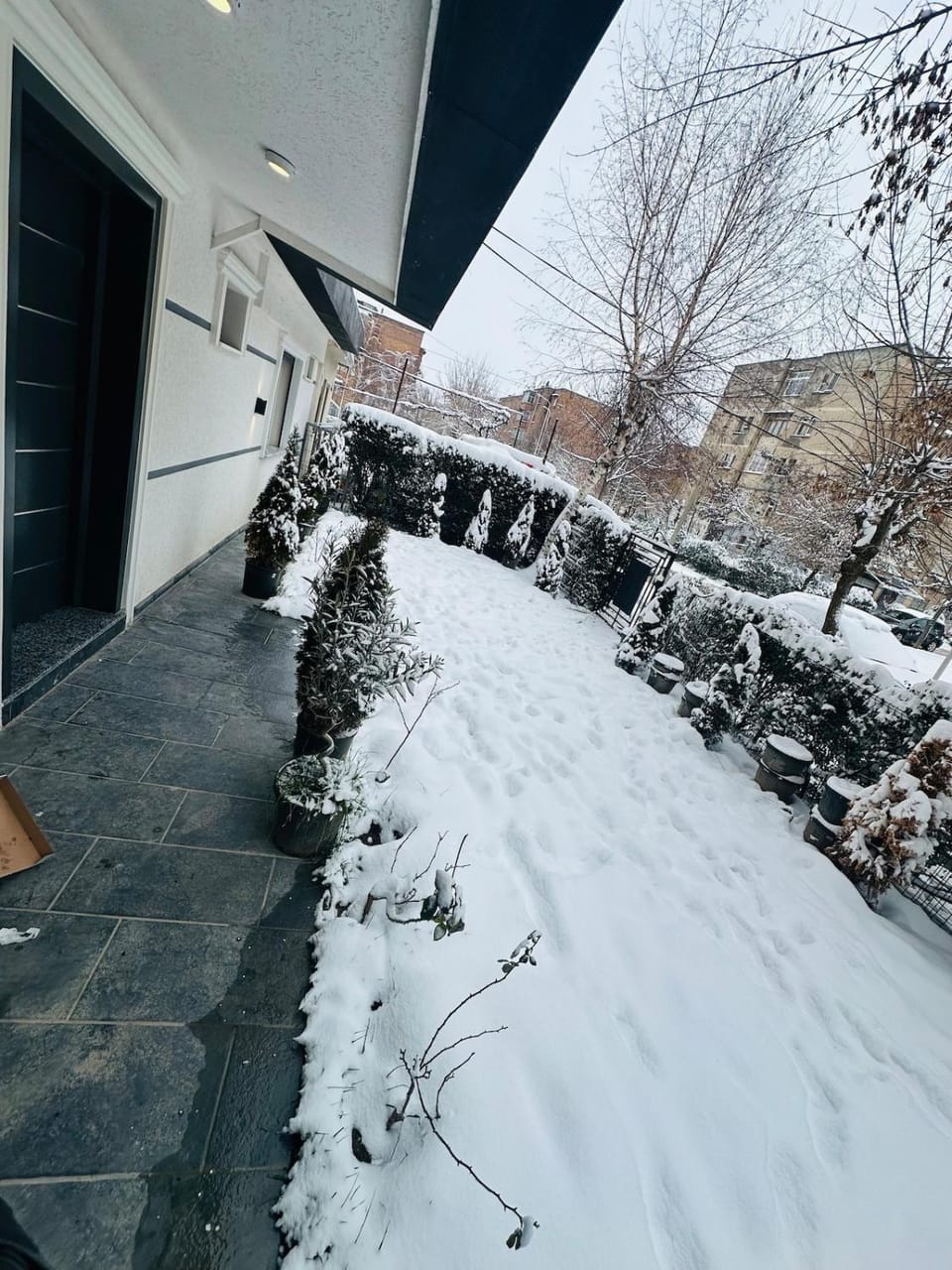 Property building, Day, Winter