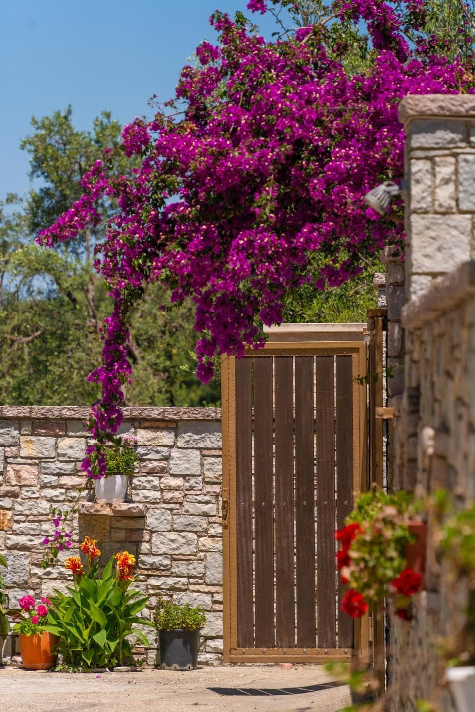 Spring, Day, Garden, Garden view