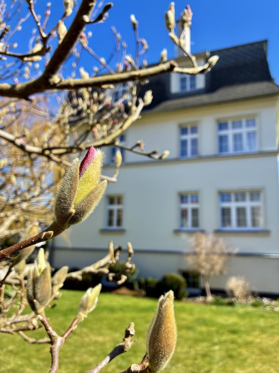 Property building, Spring, Day, Garden, Garden
