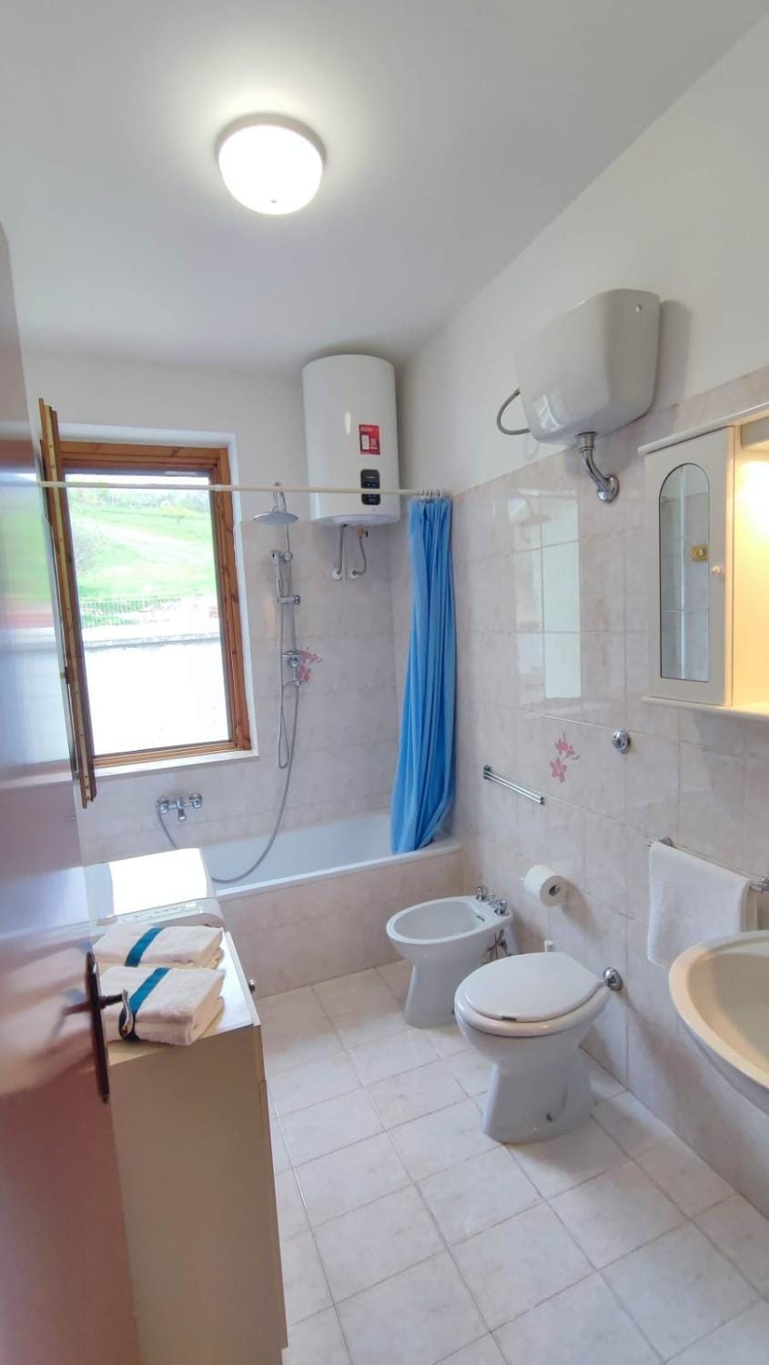 Shower, Toilet, Bathroom, Bath, bidet, towels