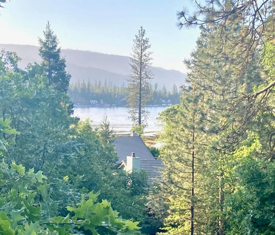 Lake view
