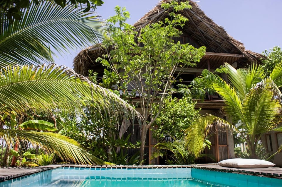 Day, Natural landscape, Garden, Swimming pool
