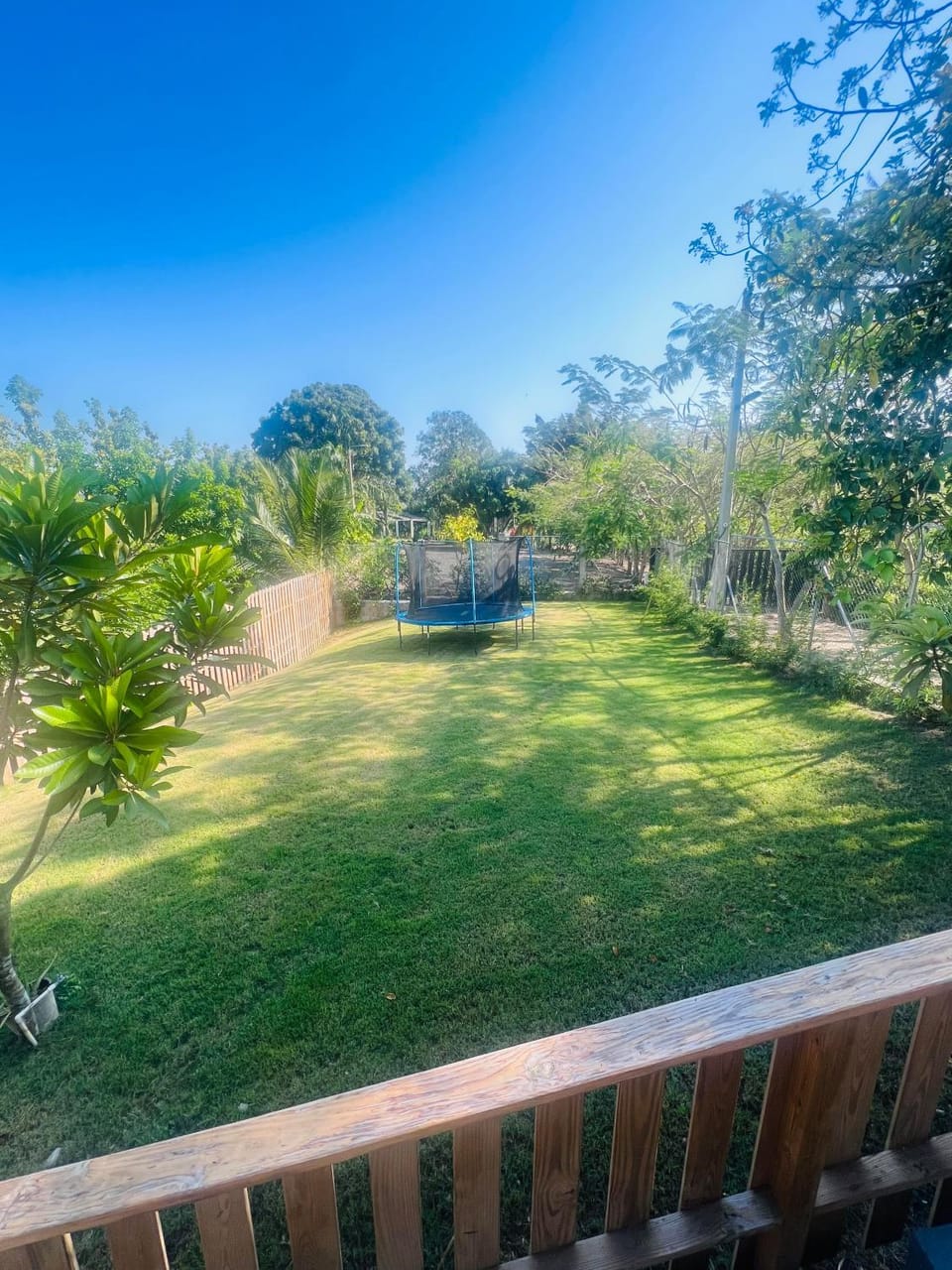 Children play ground, Garden, Garden, Garden view