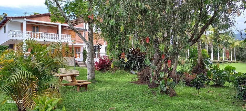 Children play ground