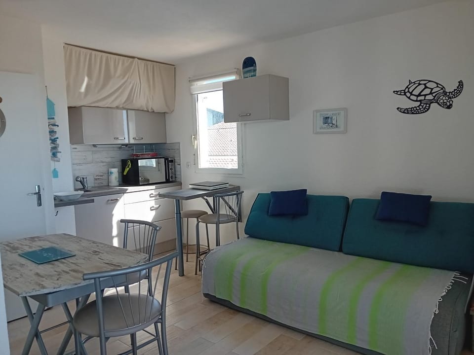 Studio bord de plage Seignosse, loggia ouest - FR-1-239-1110 Apartment in Seignosse
