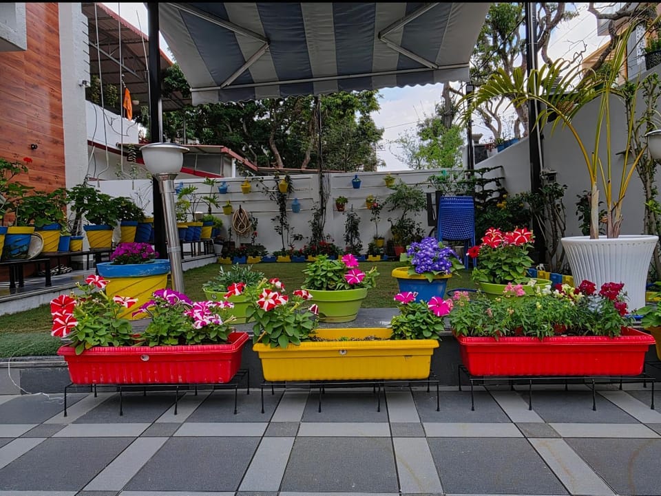 Garden