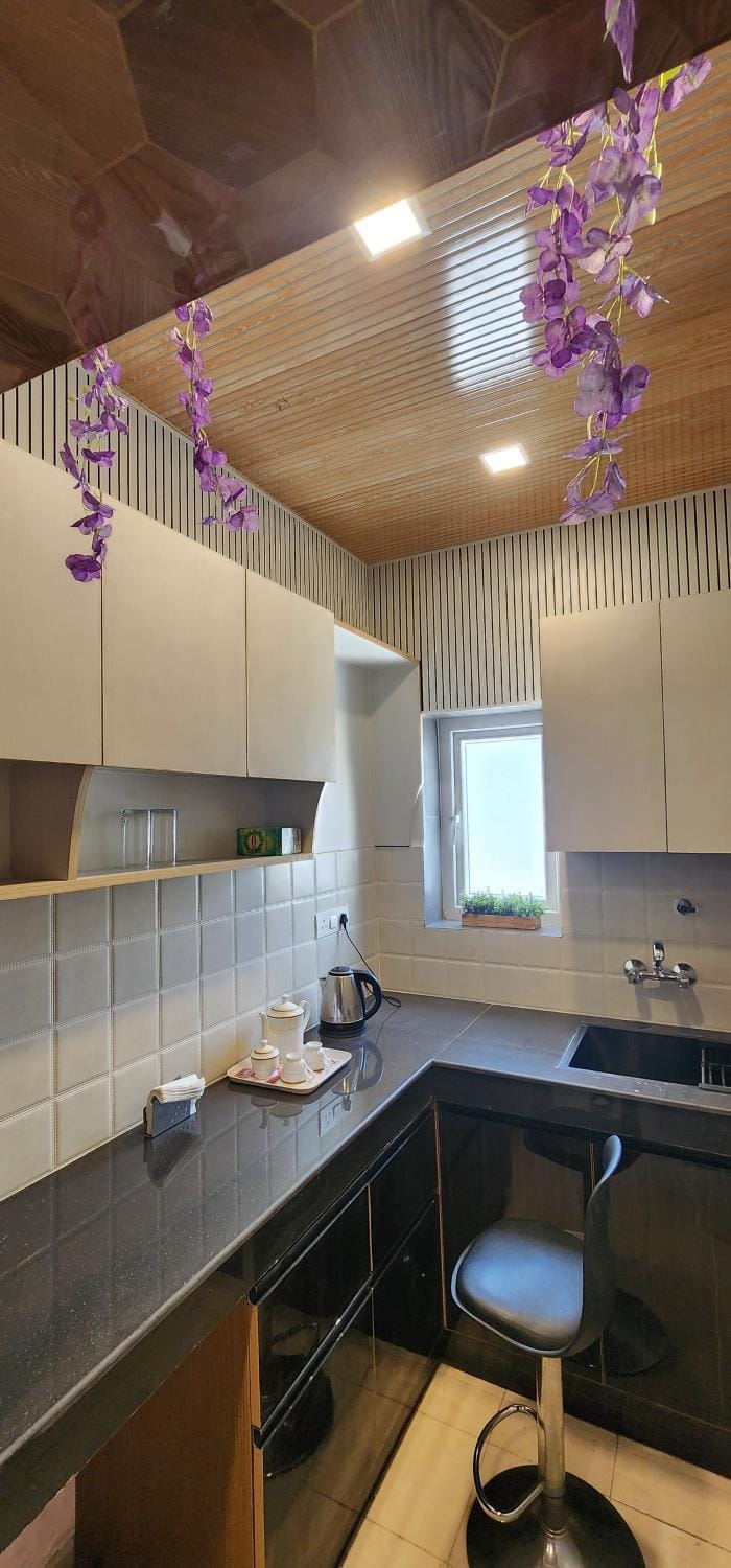 The Butterfly Effect Apartment in Lucknow