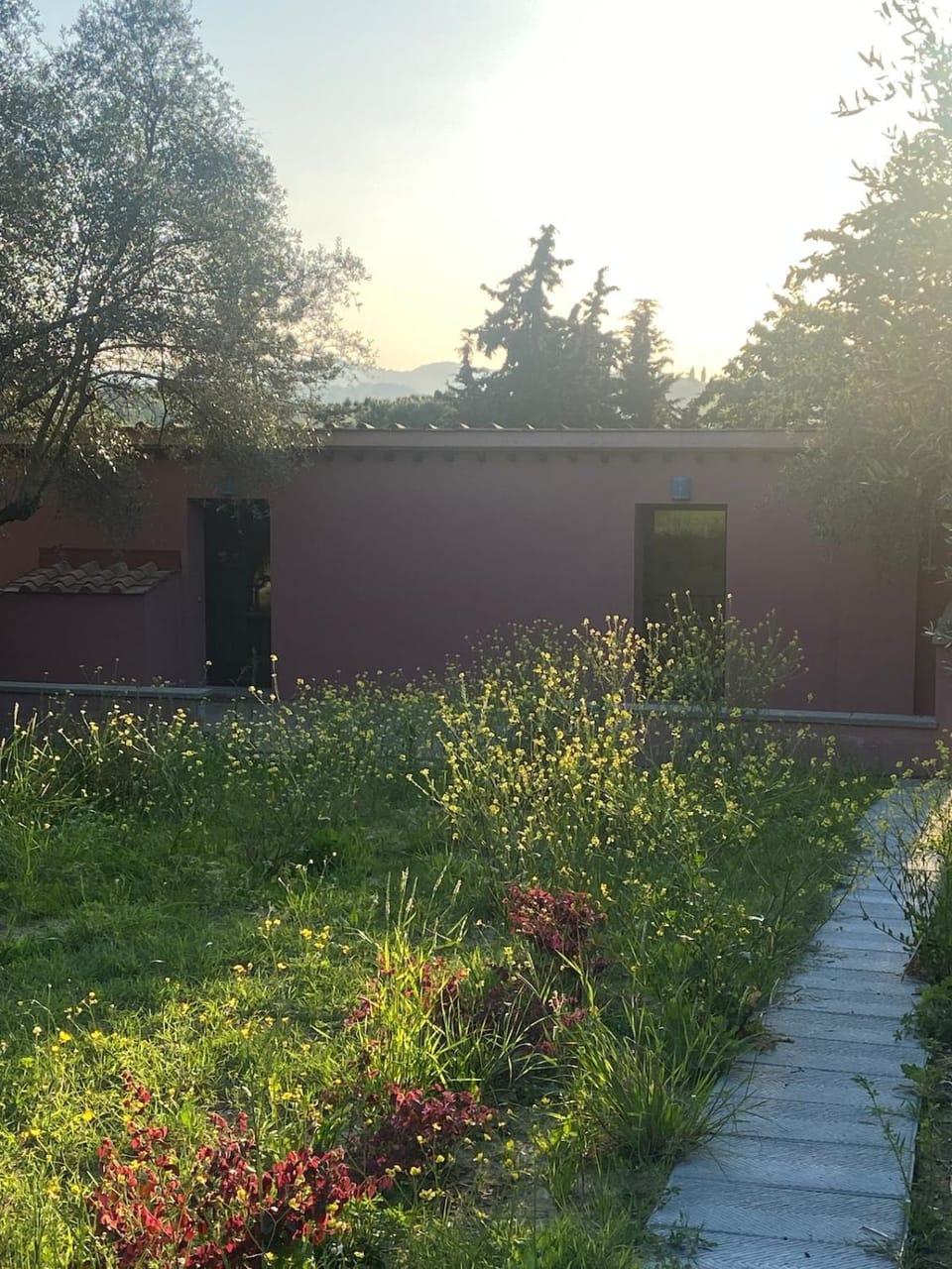 The Barn among olive trees House in Florence