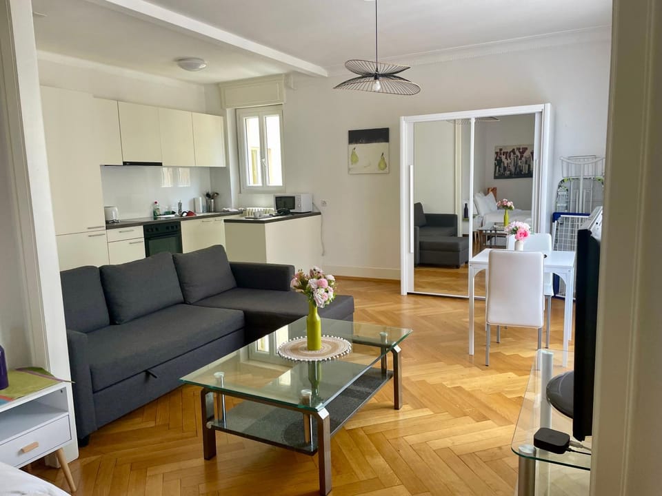 6 minutes walking from Lausanne railway station Apartment in Lausanne