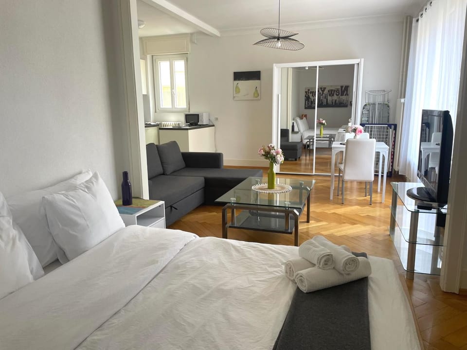 6 minutes walking from Lausanne railway station Apartment in Lausanne