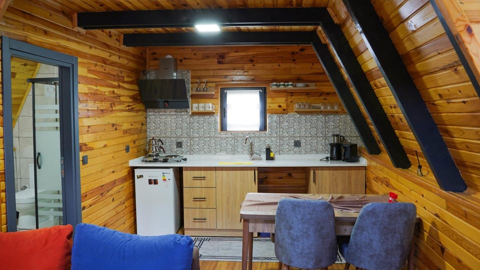 Kitchen or kitchenette, Dining area, stove