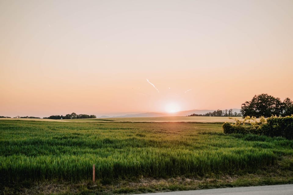 View (from property/room), Sunset