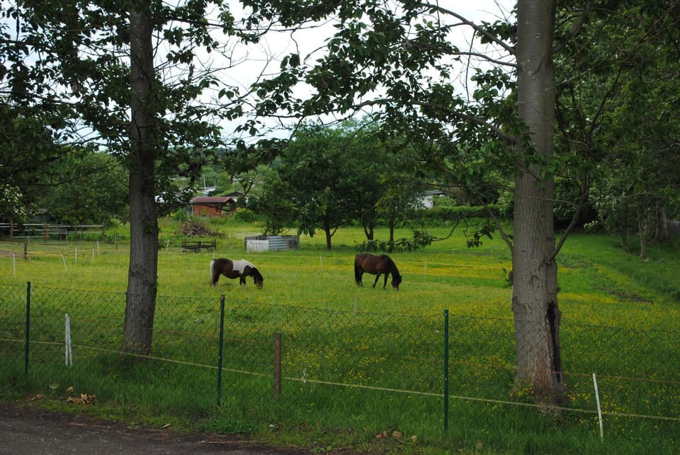 Horse-riding