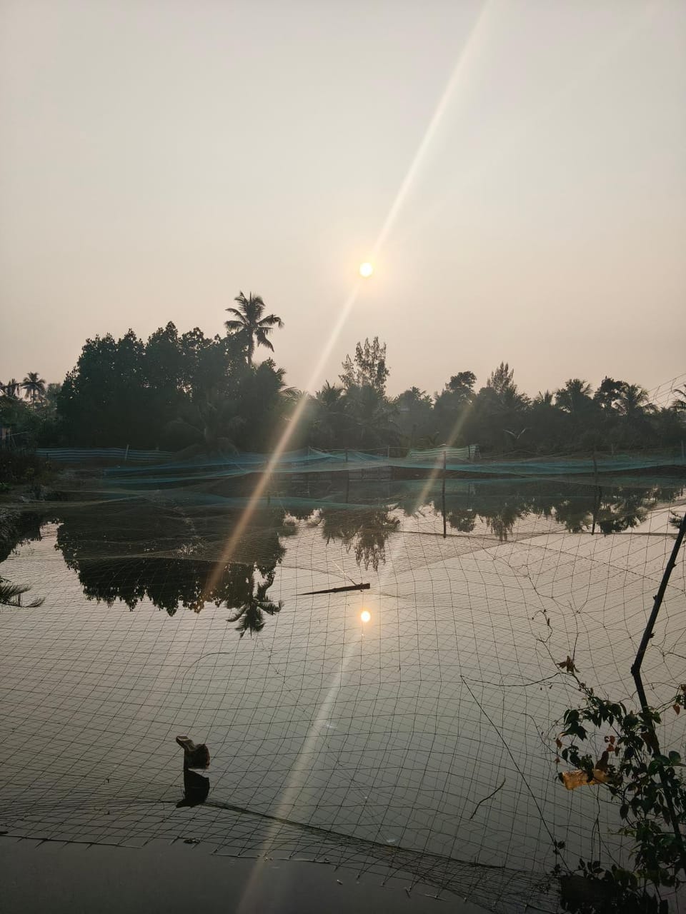 Lotus Munroe Homestay Vacation rental in Kerala