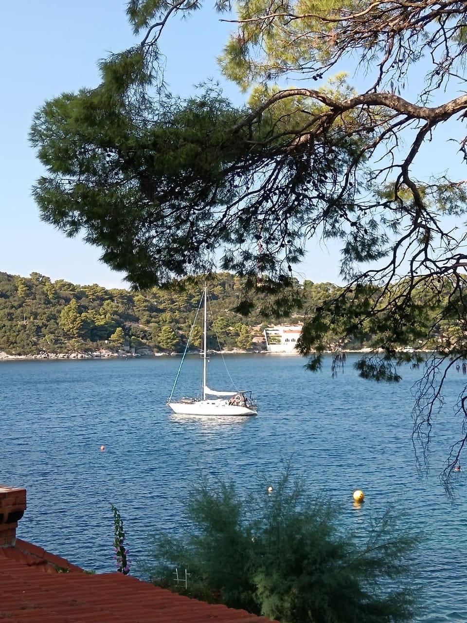 Studio apartment Dragana Apartment in Dubrovnik-Neretva County