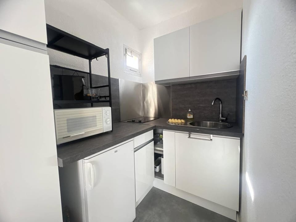 AGREABLE STUDIO AU CENTRE PORT Apartment in Agde