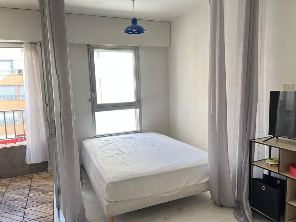 AGREABLE STUDIO AU CENTRE PORT Apartment in Agde