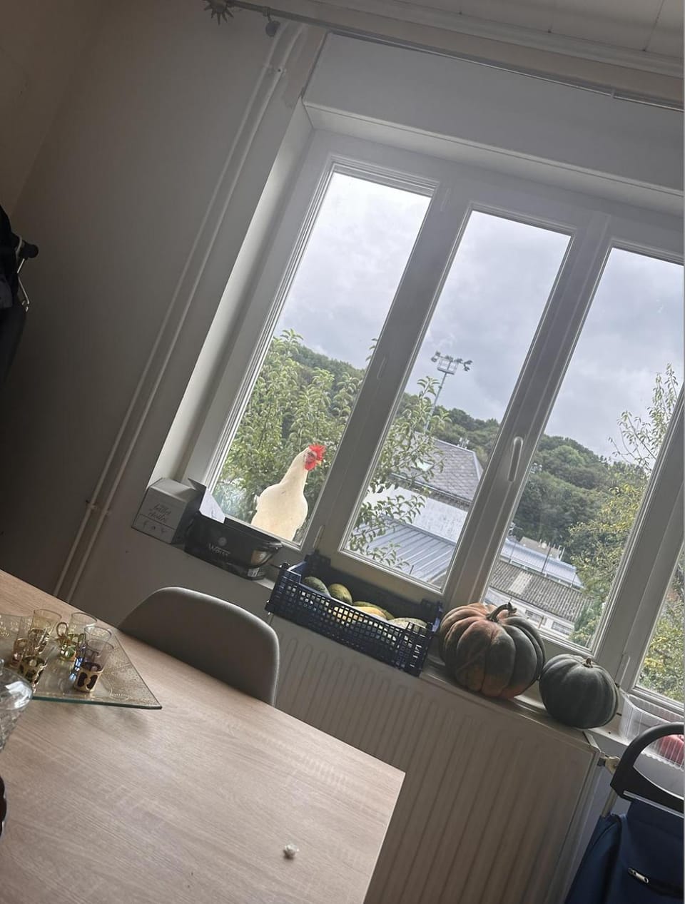 Peaceful Garden Room Near City & Sites Vacation rental in Normandy