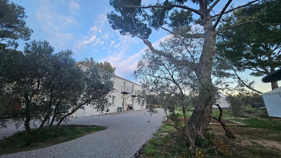 Natural landscape, Garden, Garden view