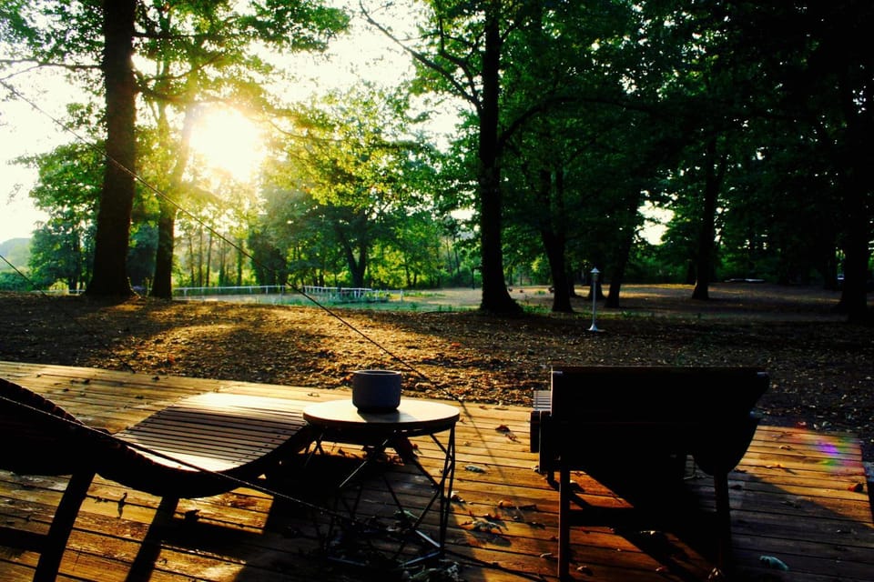 Patio, Garden view