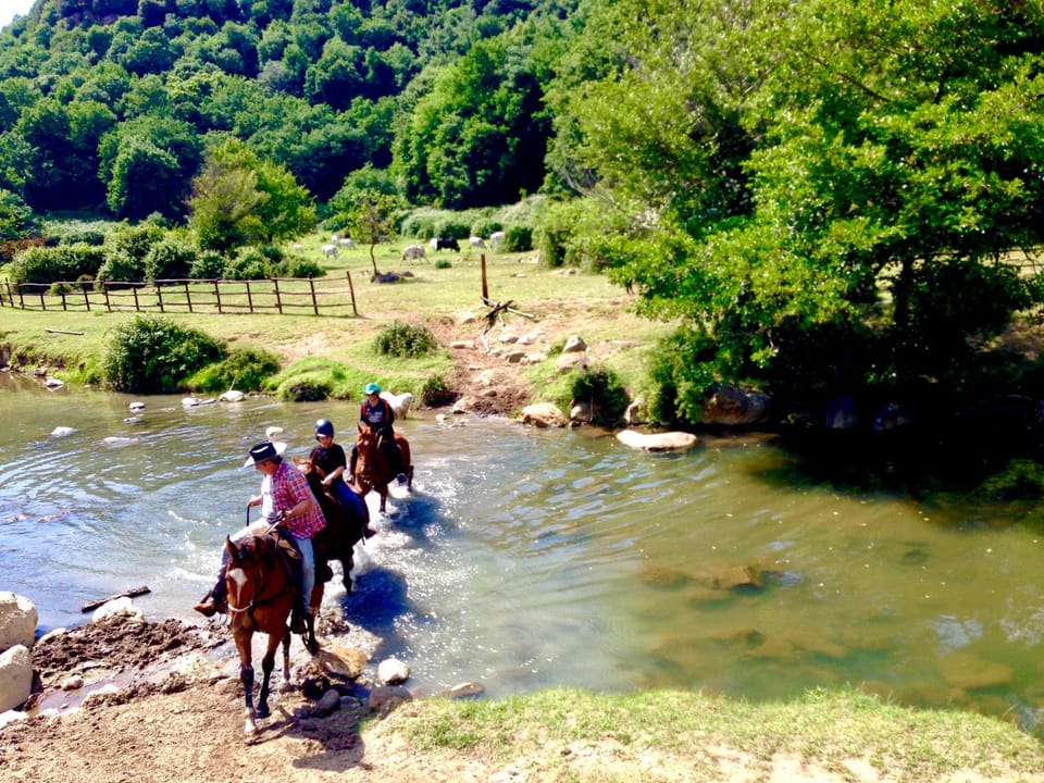 Natural landscape, Horse-riding, Hiking, Animals, Sports