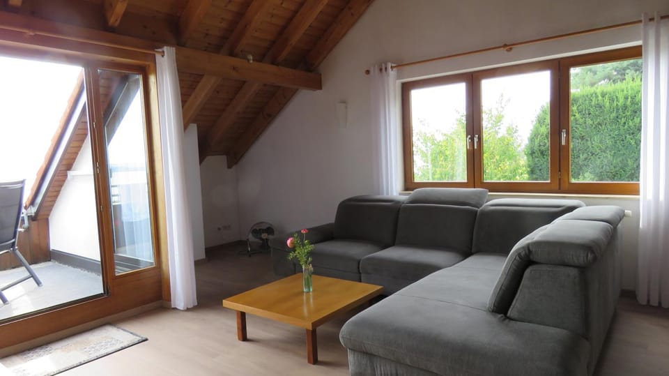 Panorama Seeblick Apartment in Meersburg