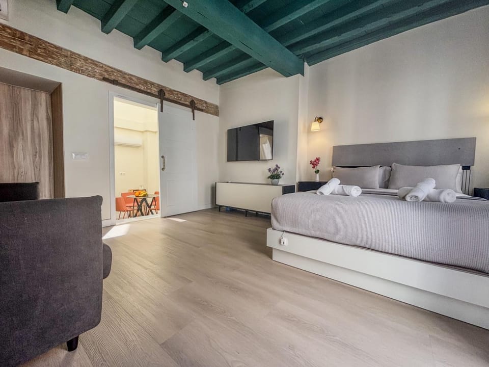 Old Town Home Collection Apartment in Seville