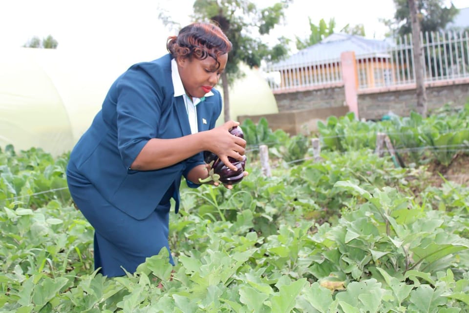 CHARIS FARM AIR b&b Bed and Breakfast in Kenya