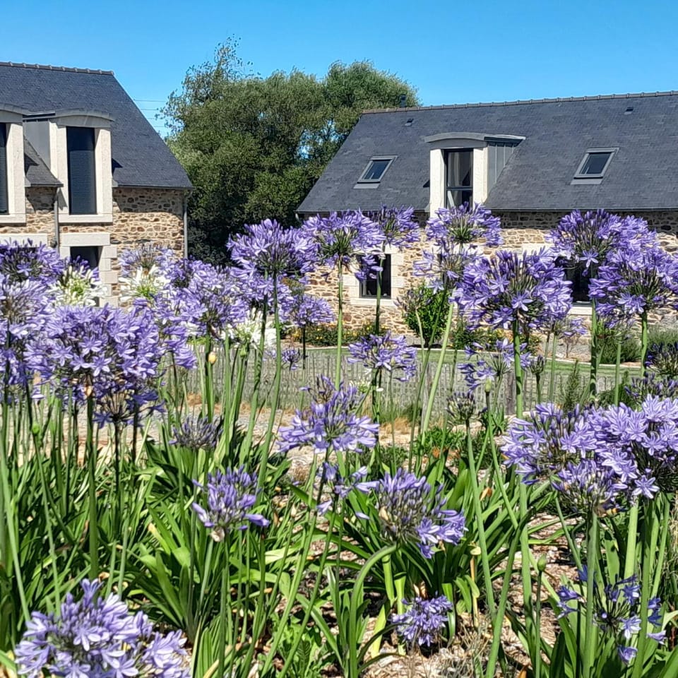 Property building, Garden view