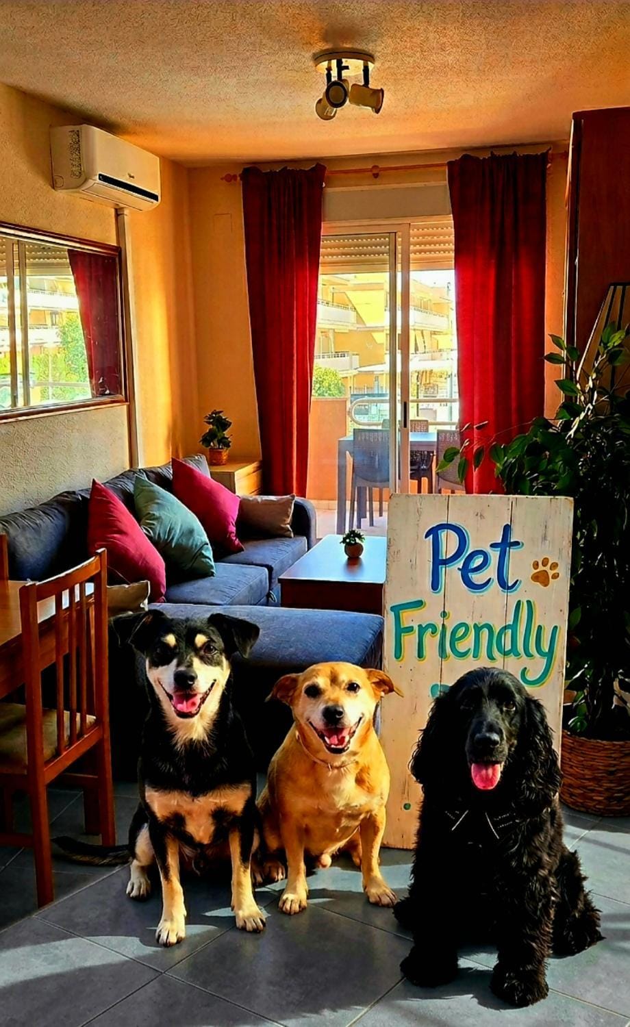 pet friendly
