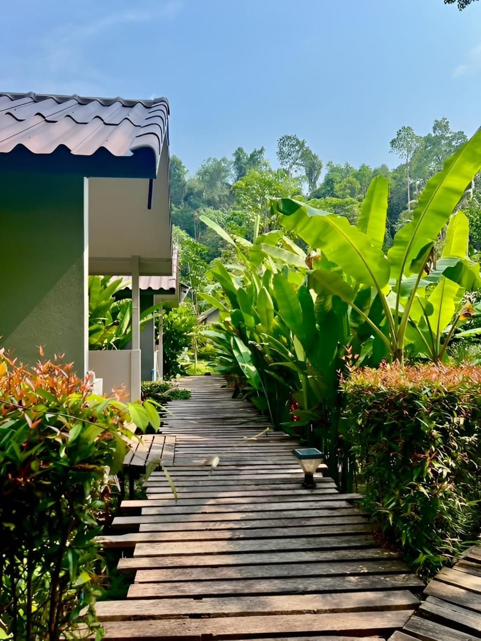 Natural landscape