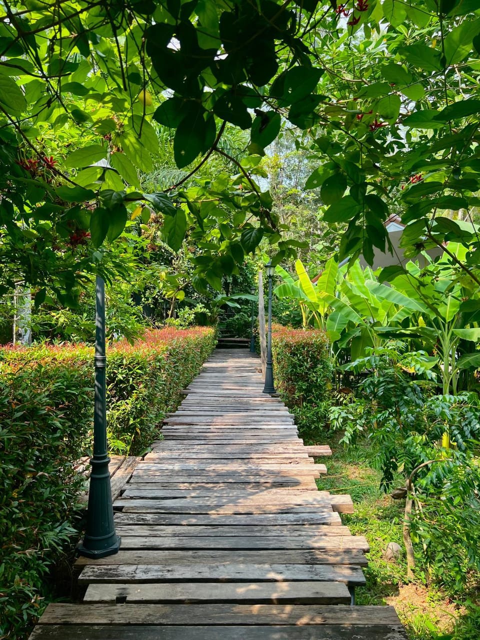 Day, Natural landscape, Garden, Garden view