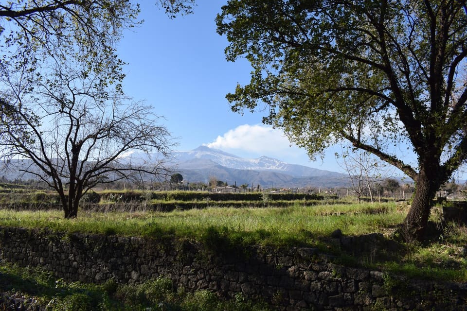 Garden view, Landmark view, Mountain view