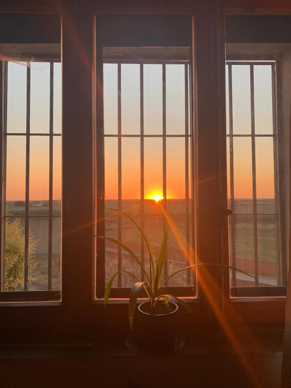 View (from property/room), Sunset