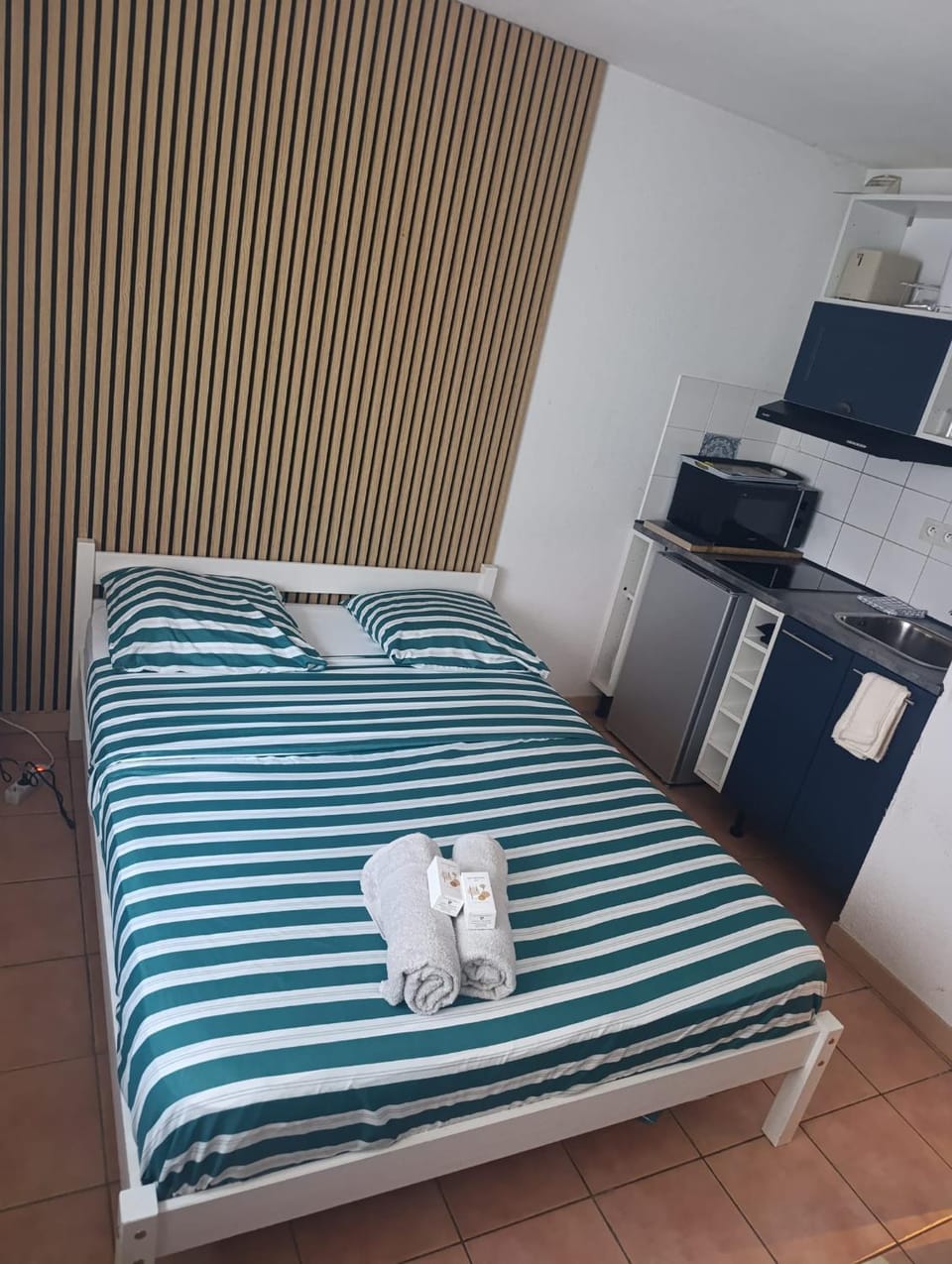 La tanière des Papes Apartment in Avignon