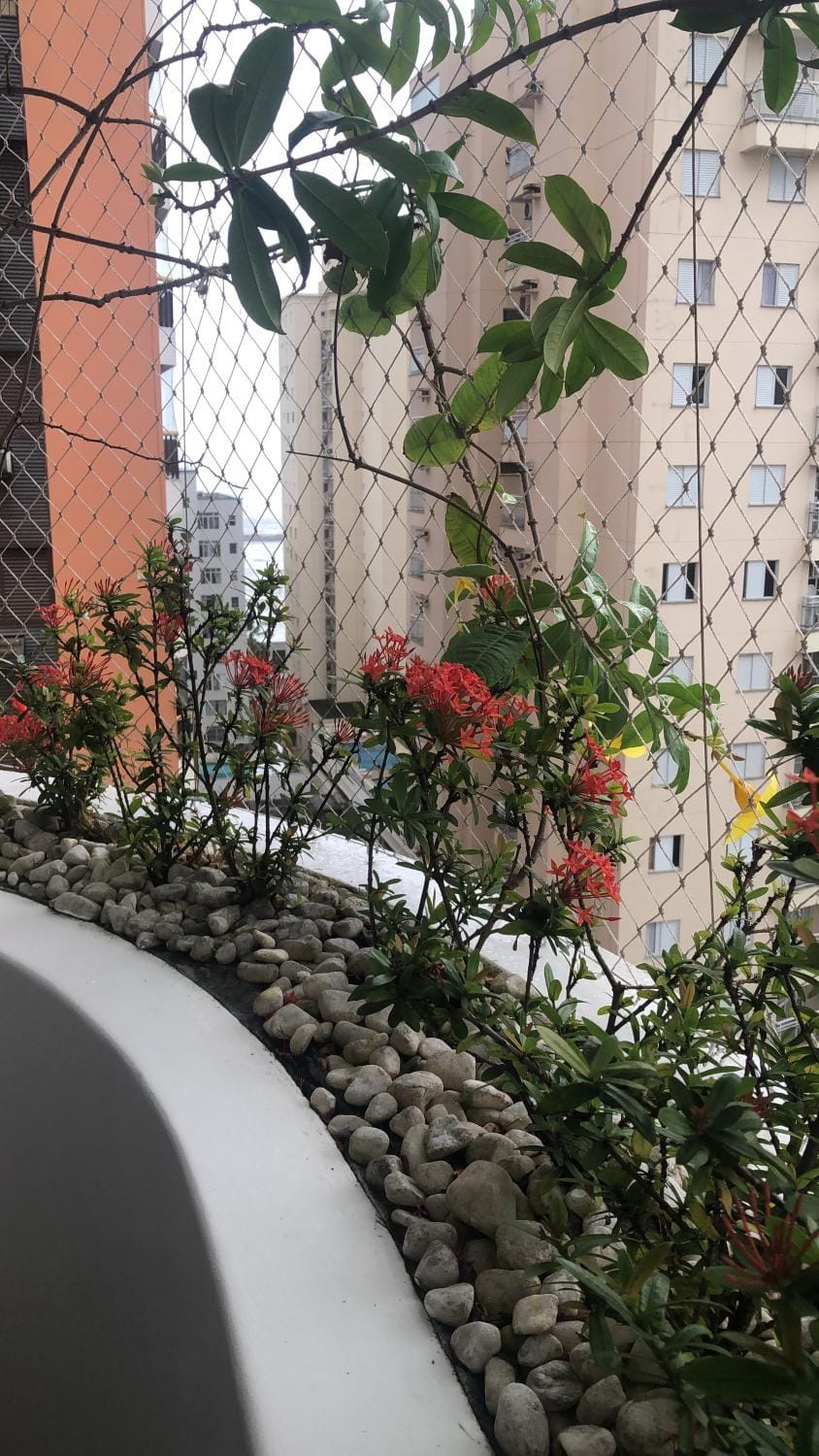 Pitangueiras, 3 suites, amplo, ventilado Apartment in State of São Paulo