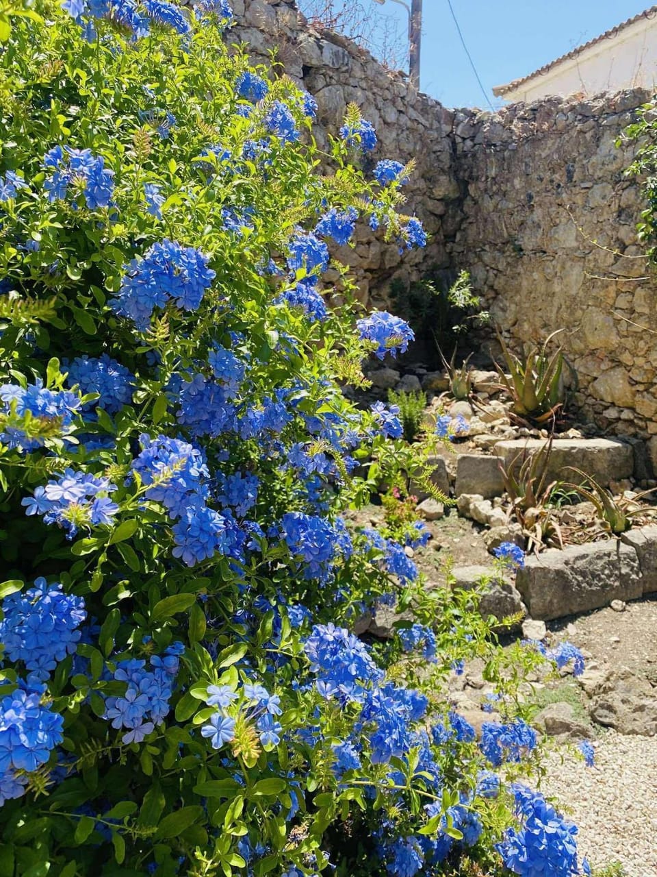 Casa di Marko Apartment in Corfu, Greece