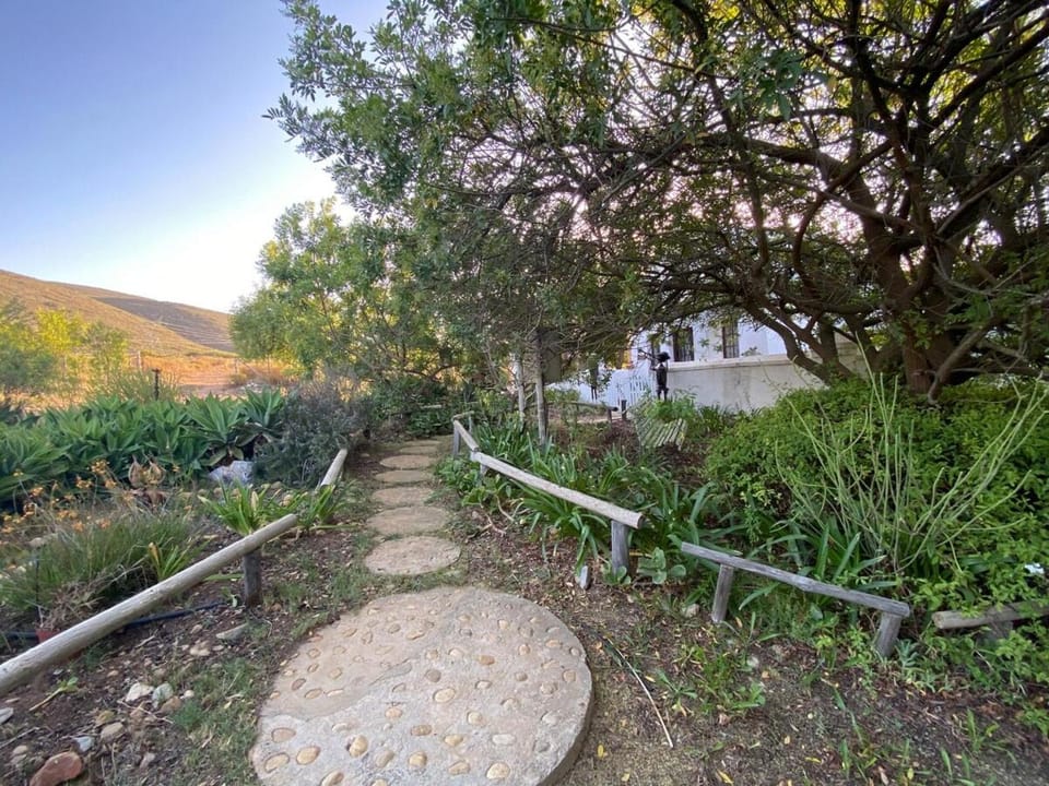 Garden, Garden