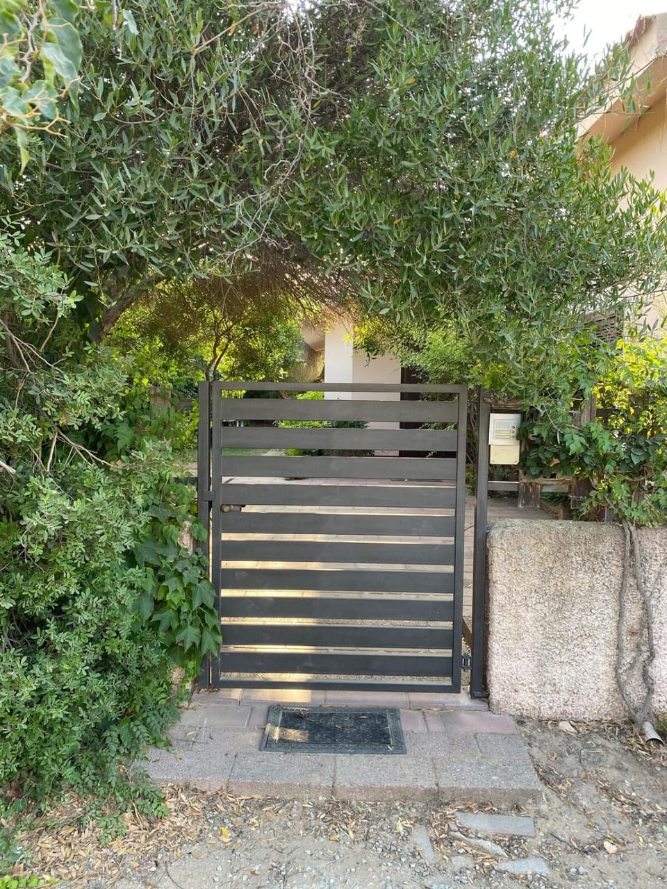 Property building, Garden view