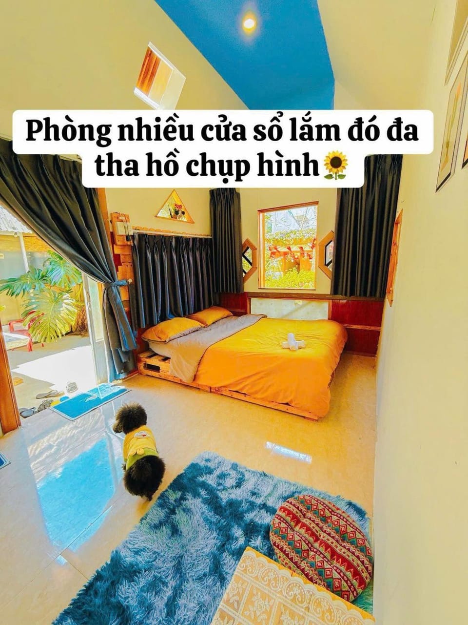 Homestay Nhà Của Lei - Đà Lạt Nature lodge in Dalat
