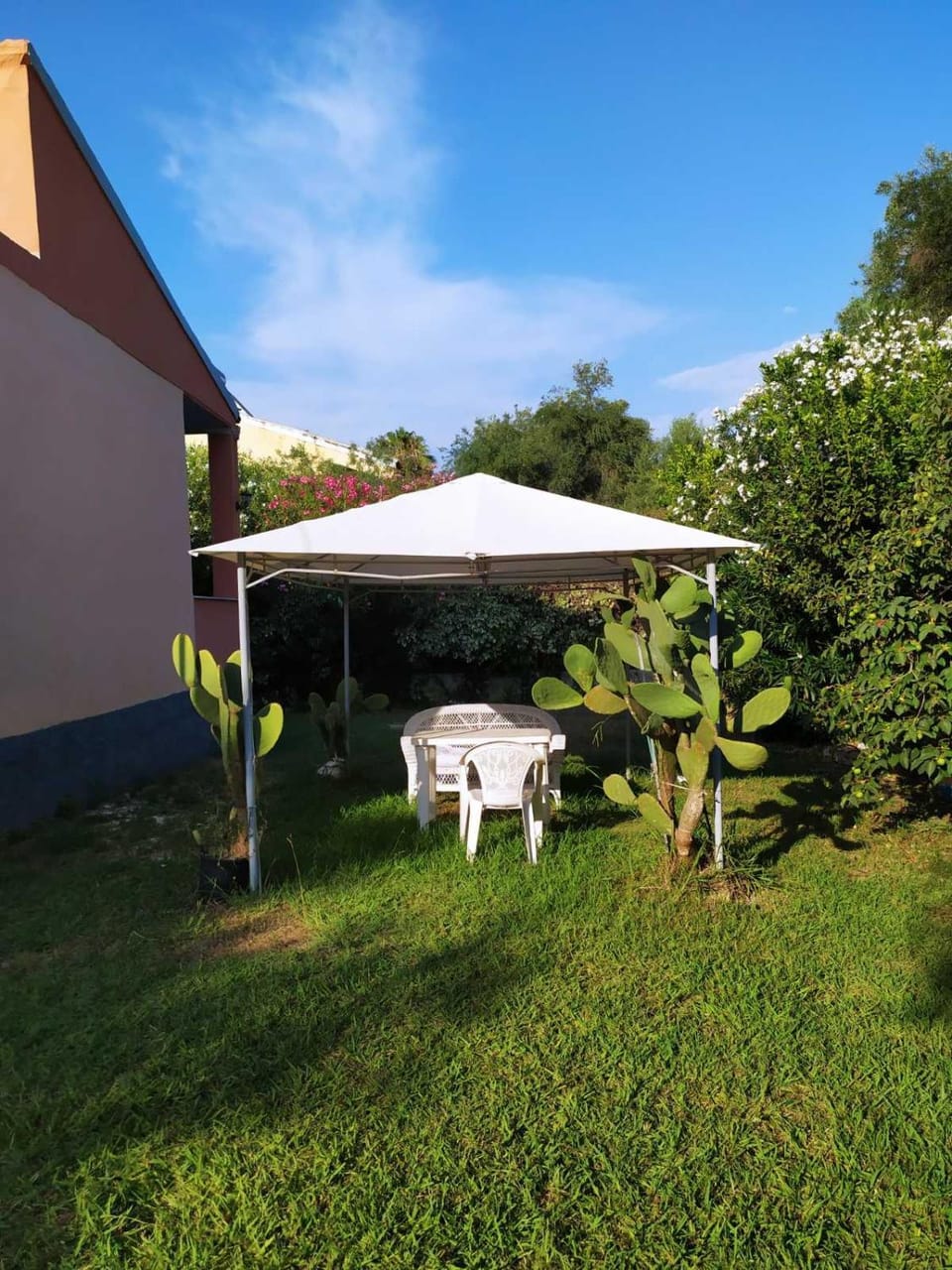 Garden, Garden view, Garden view