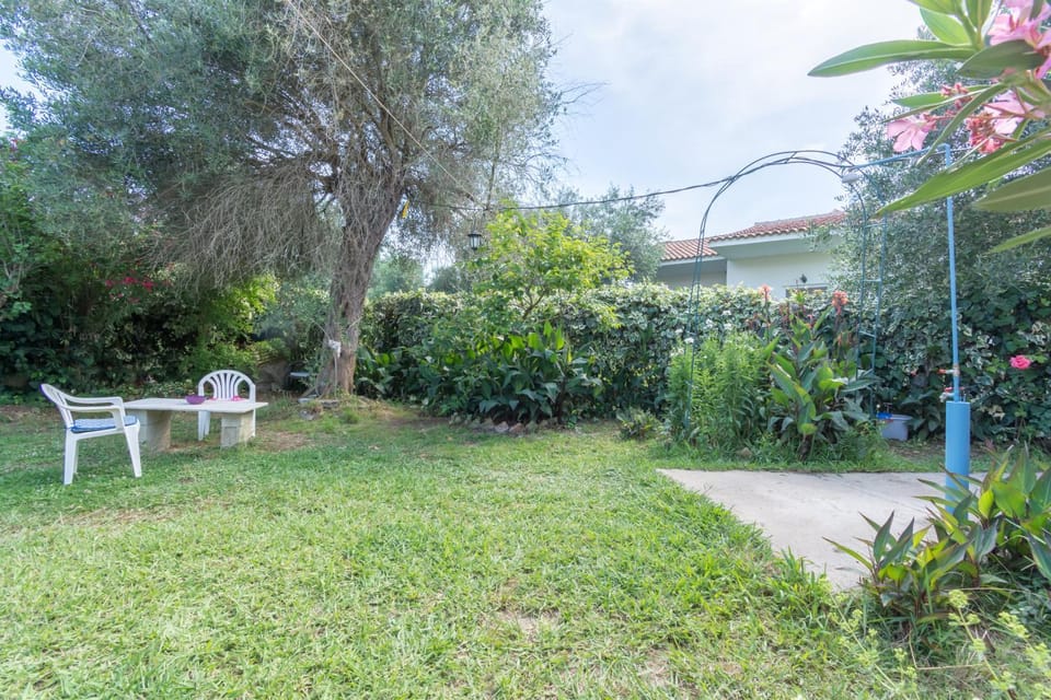 Day, Natural landscape, Garden, Garden view