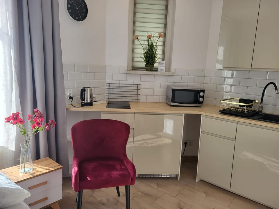 Apartament - STUDIO 6 Apartment in Czechia